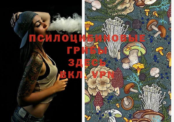 альфа пвп Нея