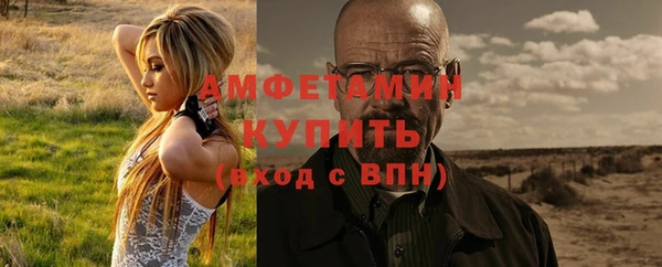 дживик Аша